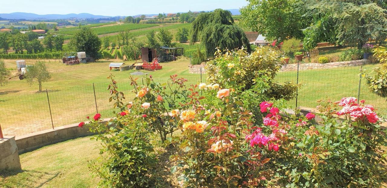 Villa Casina di Pacina Abbadia di Montepulciano Esterno foto