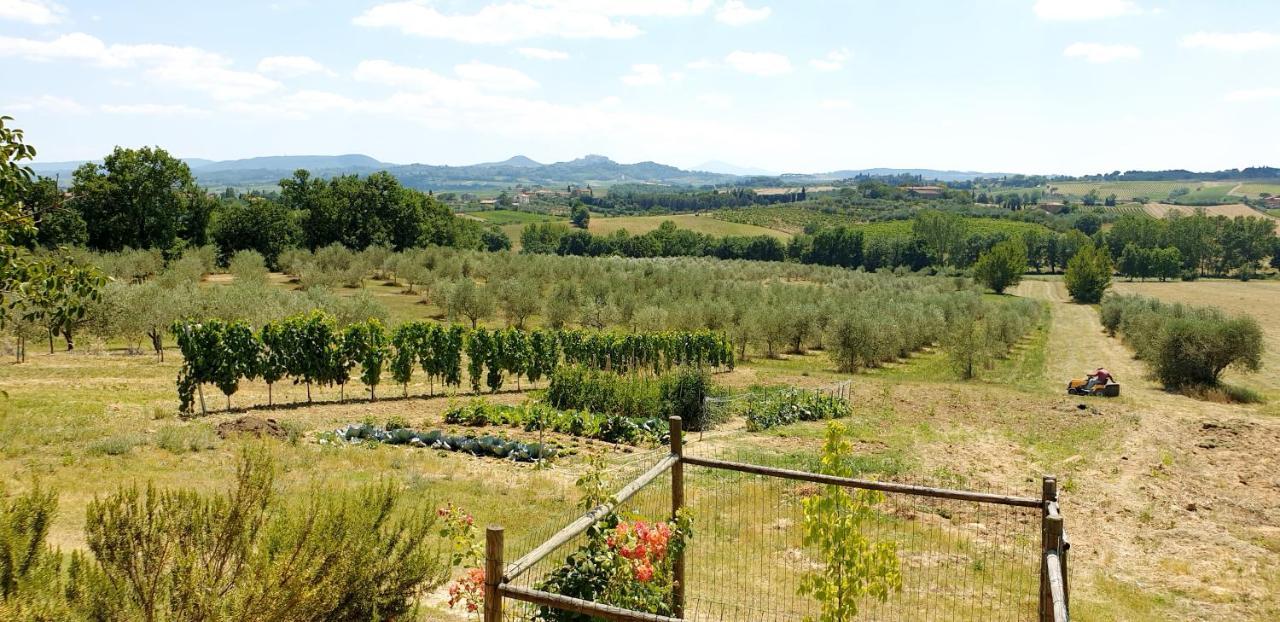 Villa Casina di Pacina Abbadia di Montepulciano Esterno foto