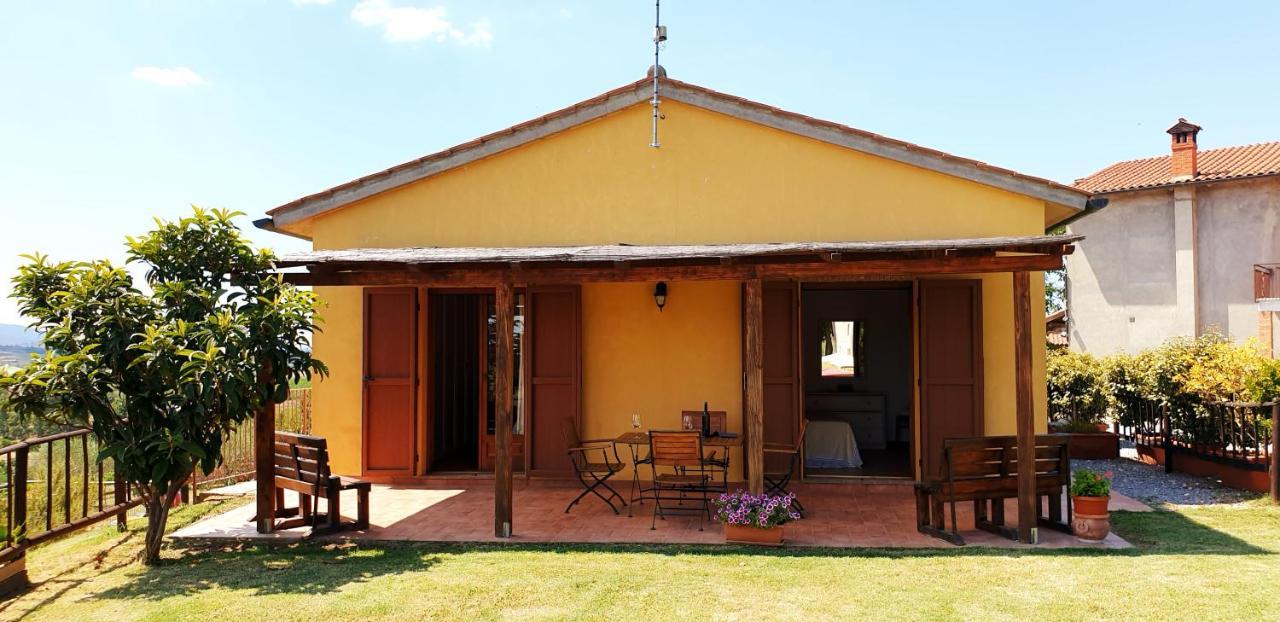 Villa Casina di Pacina Abbadia di Montepulciano Esterno foto